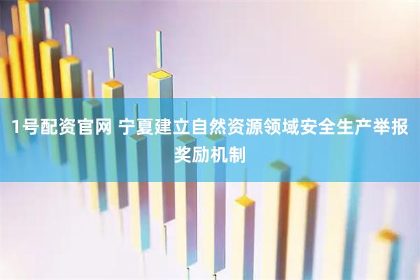 1号配资官网 宁夏建立自然资源领域安全生产举报奖励机制