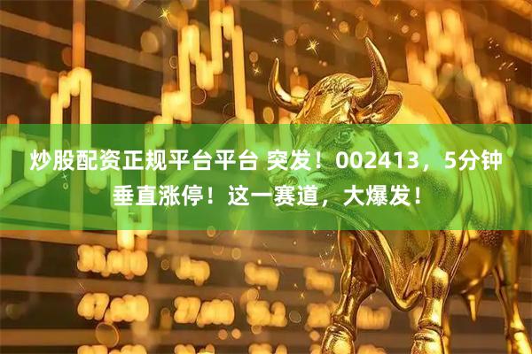 炒股配资正规平台平台 突发！002413，5分钟垂直涨停！这一赛道，大爆发！