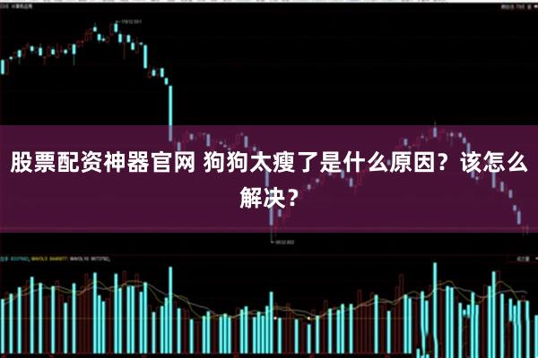 股票配资神器官网 狗狗太瘦了是什么原因？该怎么解决？