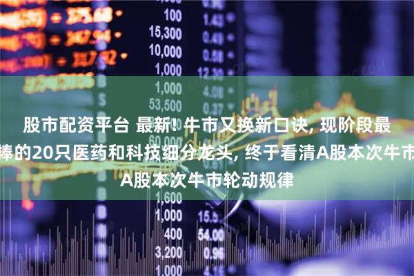 股市配资平台 最新! 牛市又换新口诀, 现阶段最受资金热捧的20只医药和科技细分龙头, 终于看清A股本次牛市轮动规律