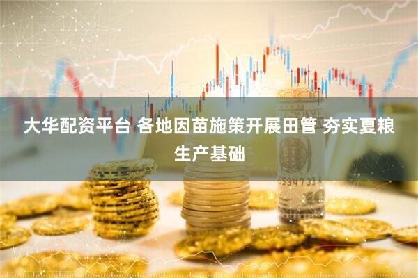 大华配资平台 各地因苗施策开展田管 夯实夏粮生产基础