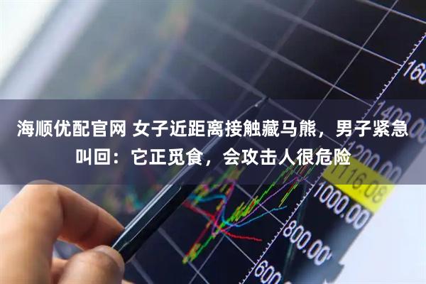 海顺优配官网 女子近距离接触藏马熊，男子紧急叫回：它正觅食，会攻击人很危险