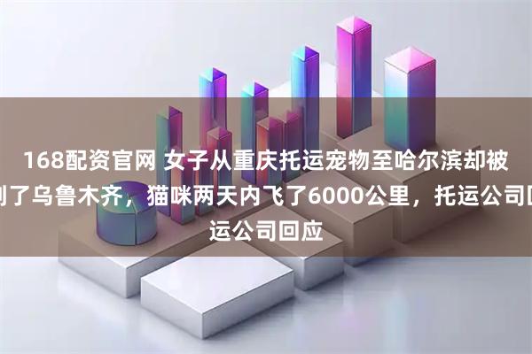 168配资官网 女子从重庆托运宠物至哈尔滨却被送到了乌鲁木齐，猫咪两天内飞了6000公里，托运公司回应