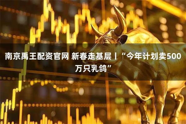 南京禹王配资官网 新春走基层丨“今年计划卖500万只乳鸽”
