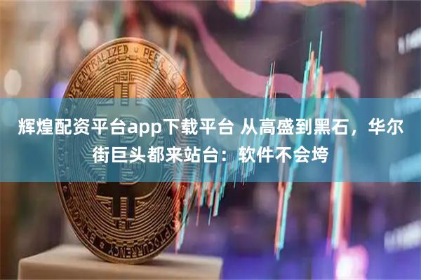 辉煌配资平台app下载平台 从高盛到黑石，华尔街巨头都来站台：软件不会垮