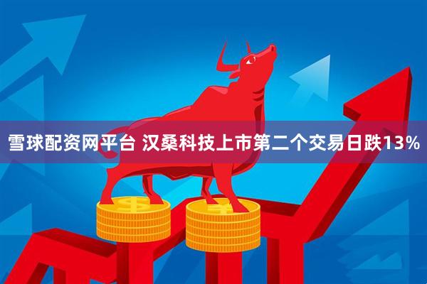 雪球配资网平台 汉桑科技上市第二个交易日跌13%