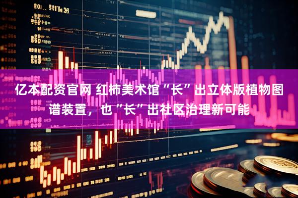 亿本配资官网 红柿美术馆“长”出立体版植物图谱装置，也“长”出社区治理新可能